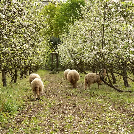 Feriehus Casa Fermil Do