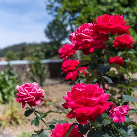 Casa Fermil Do Veade