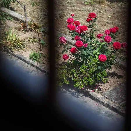 Casa Fermil Do Dom wakacyjny Veade