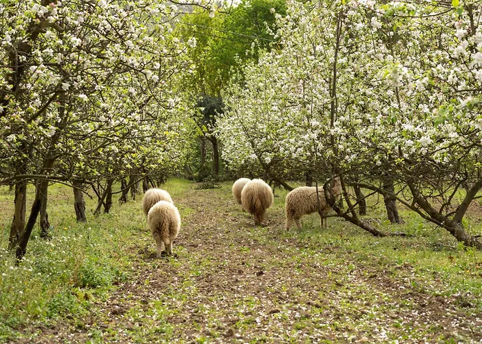 בית נופש Casa Fermil Do