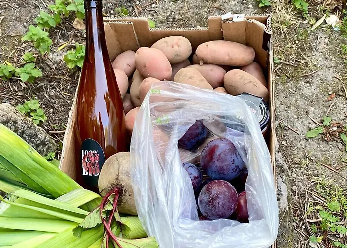 Casa Fermil Do * Veade