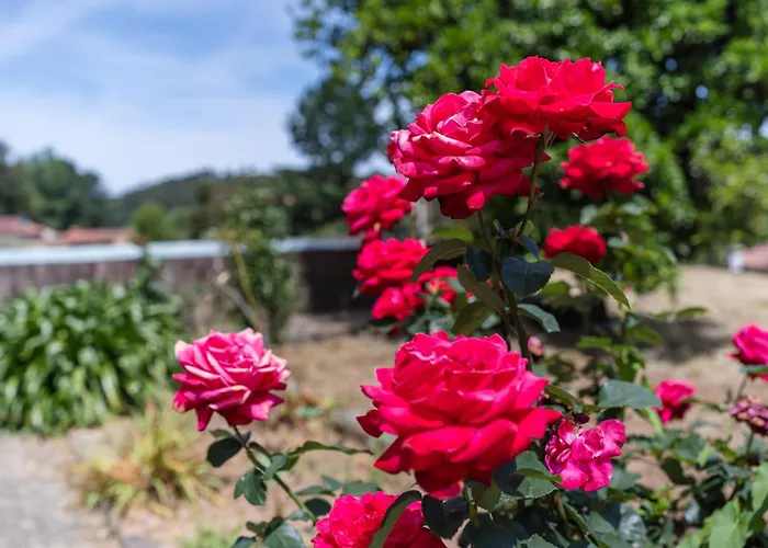 Casa Fermil Do Veade