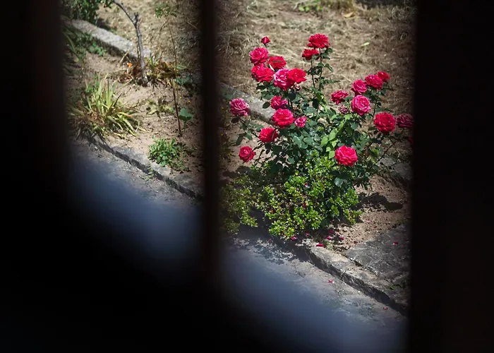 Casa Fermil Do Hébergement de vacances Veade